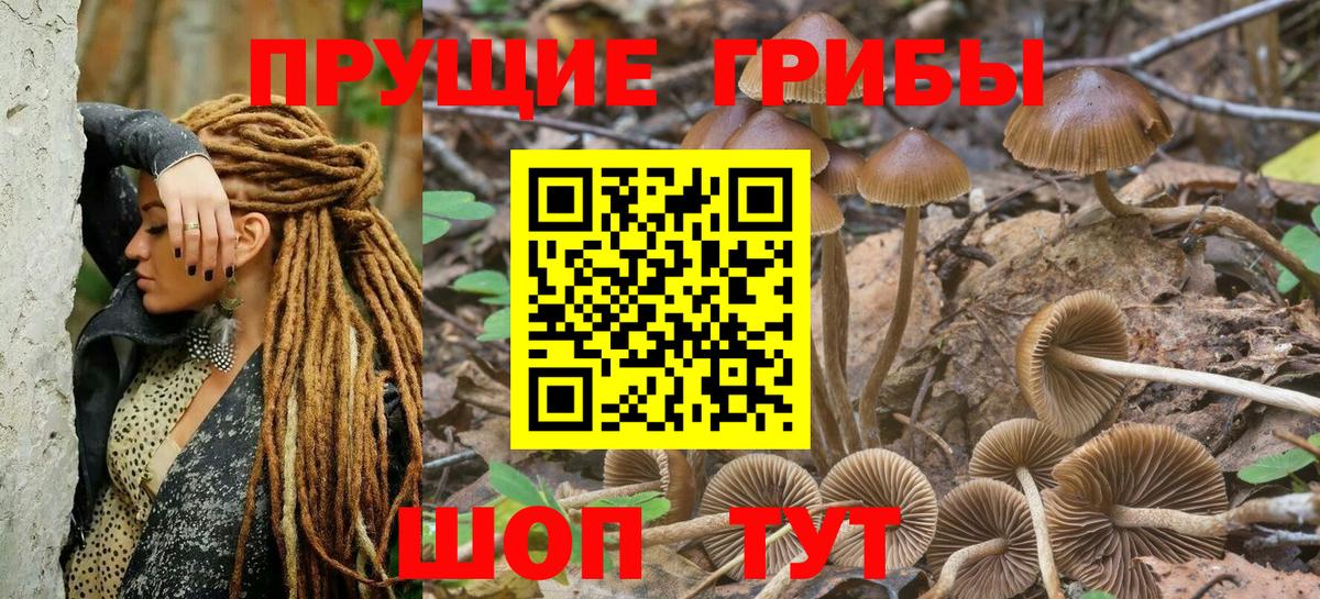 закладка  Галлюциногенные грибы GOLDEN TEACHER  Псилоцибиновые грибы ЛСД  Вход с VPN  Новочеркасск 