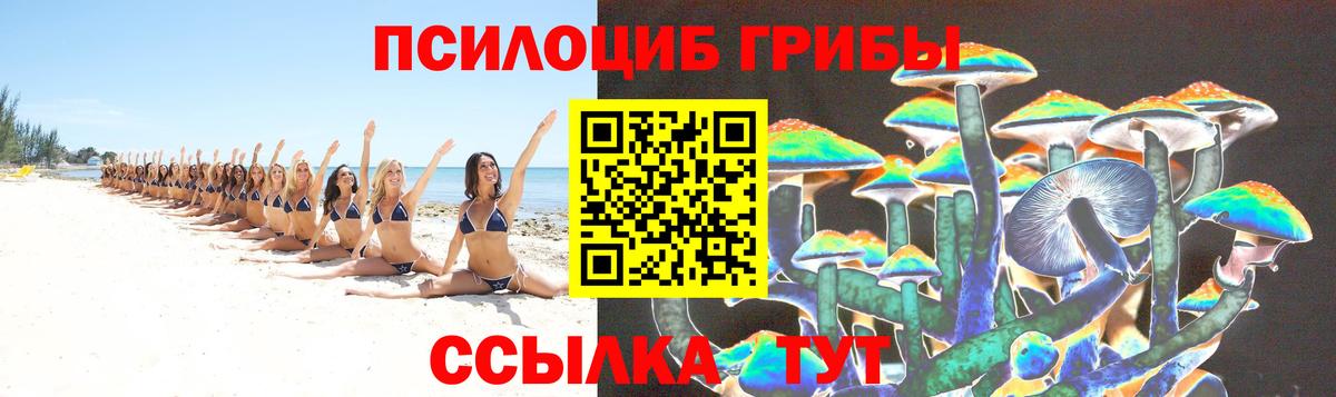 Галлюциногенные грибы GOLDEN TEACHER Новочеркасск